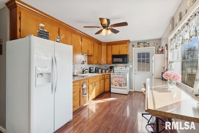 kitchen with dark wood-style floors, light countertops, a sink, white appliances, and brown cabinets