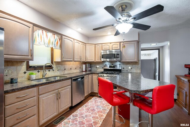 kitchen featuring dark wood-style floors, appliances with stainless steel finishes, decorative backsplash, and a sink