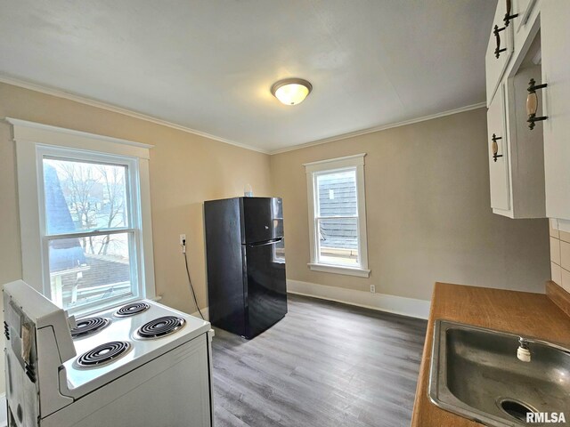 620 Sycamore St, Muscatine, IA 52761 - kitchen featuring light wood-type flooring, ornamental molding, white range with electric cooktop, a sink, and freestanding refrigerator