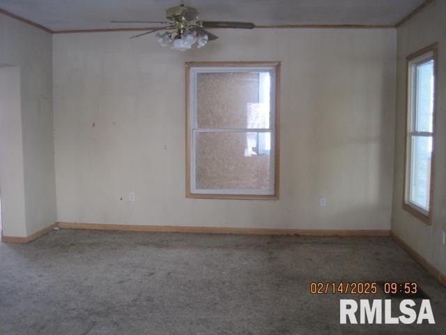 carpeted empty room with crown molding and ceiling fan