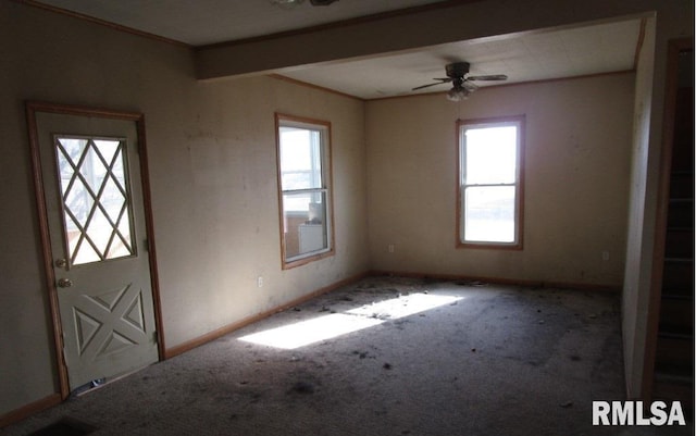 unfurnished room with crown molding, carpet, and ceiling fan