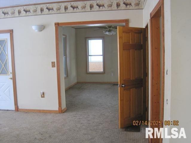 empty room featuring carpet flooring