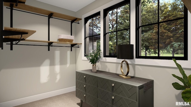 spacious closet with carpet flooring