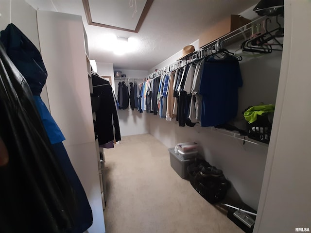 spacious closet with carpet floors