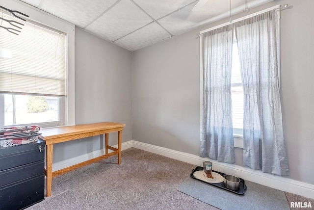 carpeted home office featuring a paneled ceiling