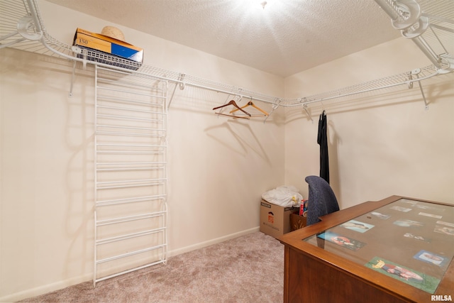 walk in closet featuring carpet