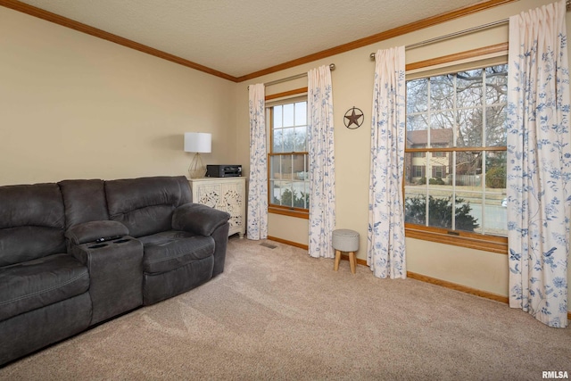 carpeted living room with crown molding and a textured ceiling