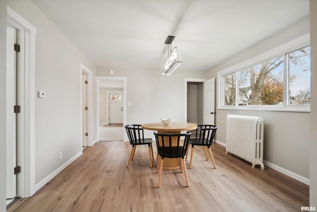 dining room with radiator and light hardwood / wood-style flooring