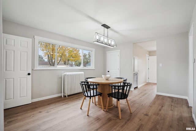 dining room with a chandelier, radiator heating unit, and light hardwood / wood-style floors