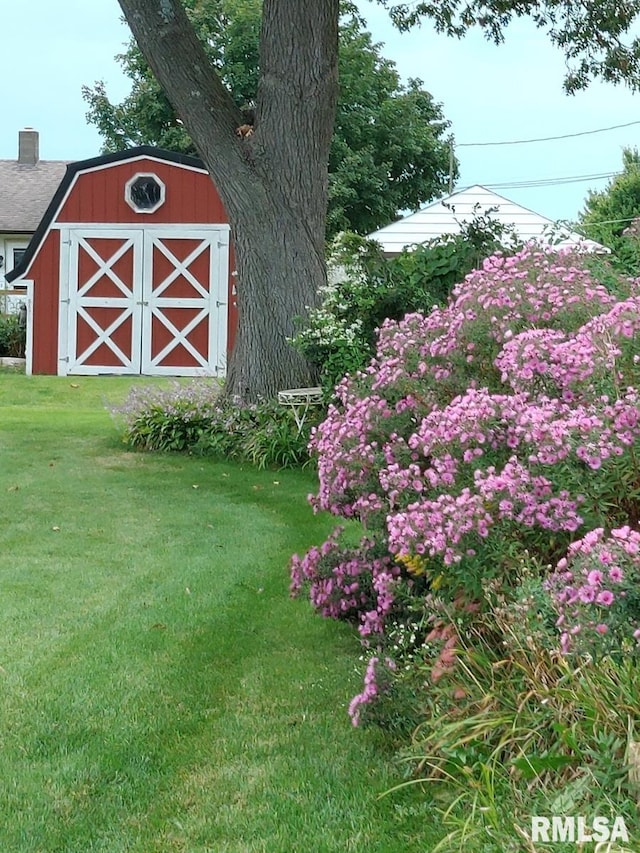 view of yard featuring an outbuilding and a storage unit
