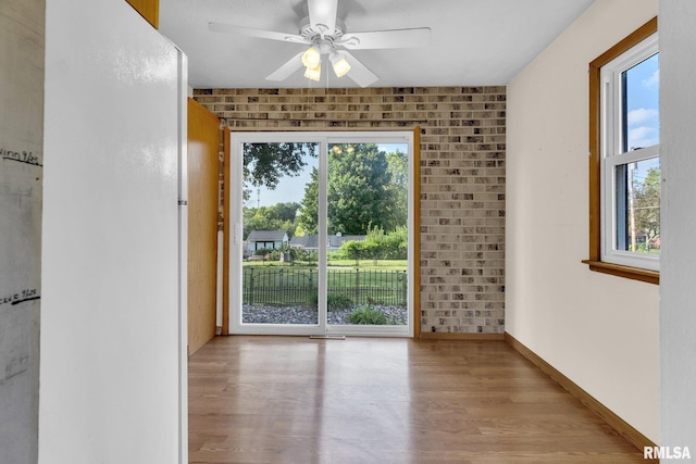 empty room featuring ceiling fan and light hardwood / wood-style floors