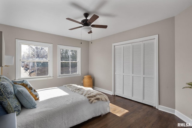 bedroom with dark wood-type flooring, ceiling fan, and a closet