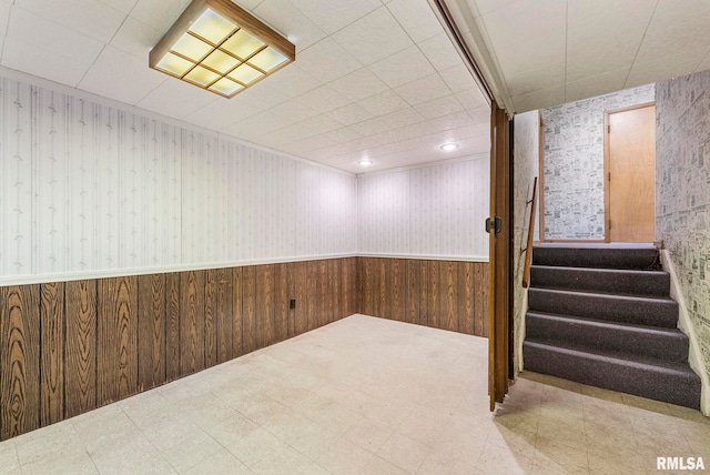 basement with wooden walls