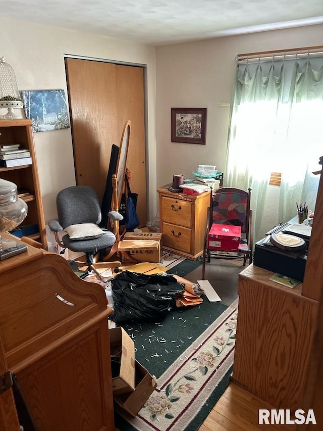 interior space featuring hardwood / wood-style flooring and a closet