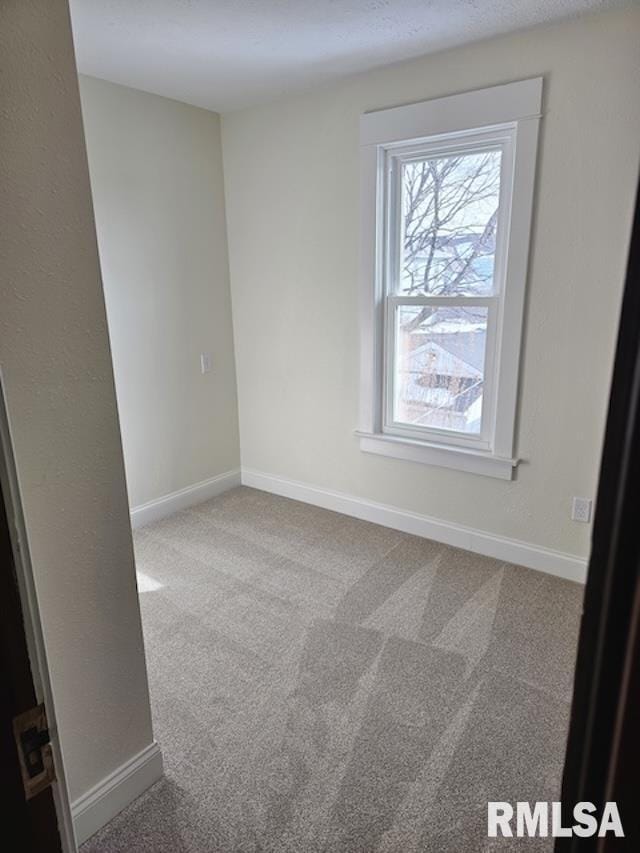 empty room featuring carpet floors