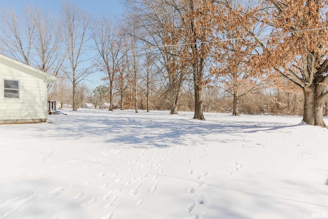 view of yard covered in snow