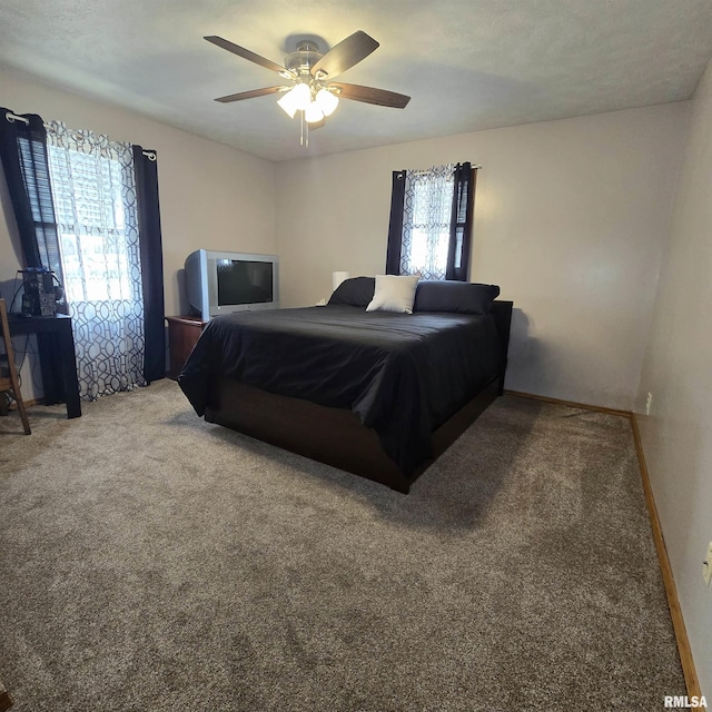 223 N King St, Hurst, IL 62949 - bedroom with carpet flooring and a ceiling fan