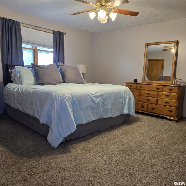 223 N King St, Hurst, IL 62949 - carpeted bedroom with a ceiling fan