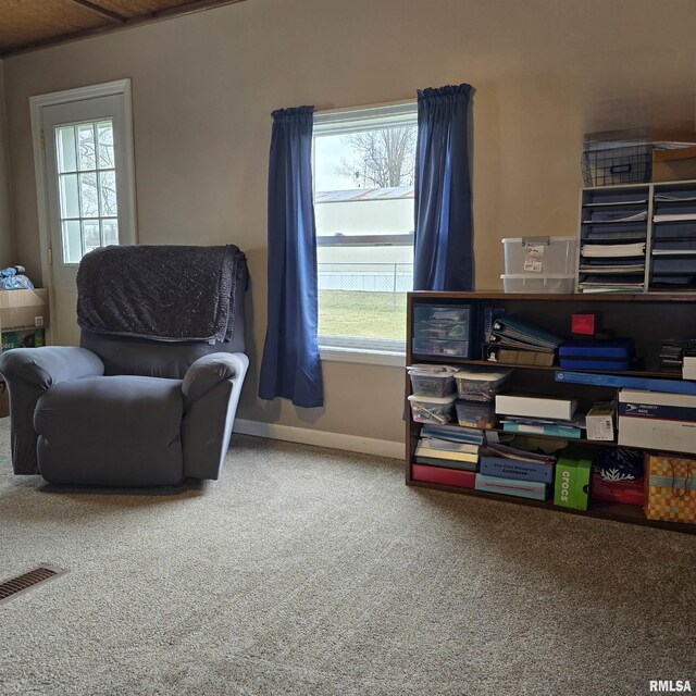 223 N King St, Hurst, IL 62949 - living area featuring carpet floors and baseboards