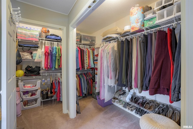 walk in closet with carpet