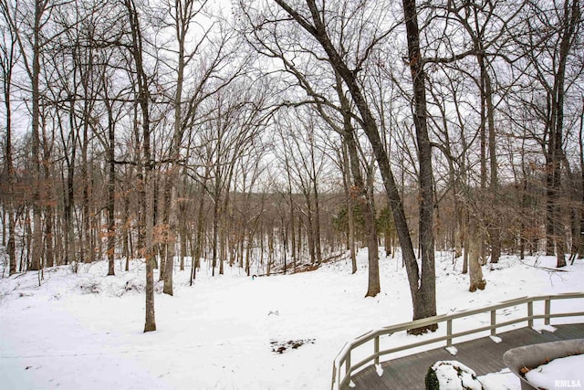 view of yard layered in snow