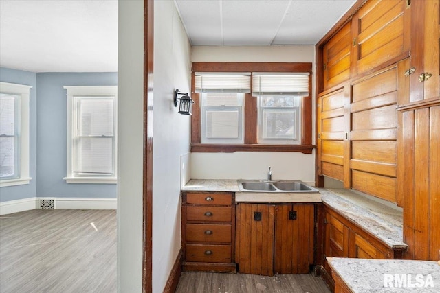 bathroom featuring wood finished floors, a sink, and baseboards