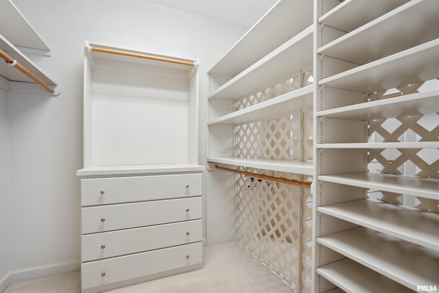 view of spacious closet