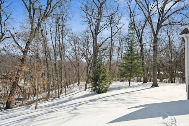 view of yard layered in snow