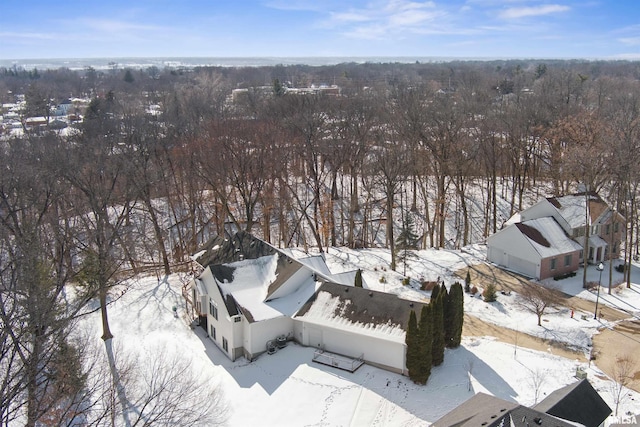 view of snowy aerial view