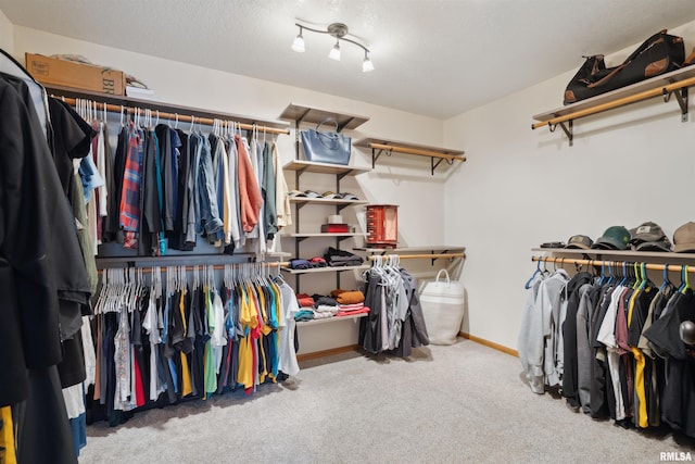 spacious closet featuring carpet