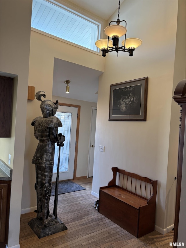 entrance foyer featuring baseboards and hardwood / wood-style flooring