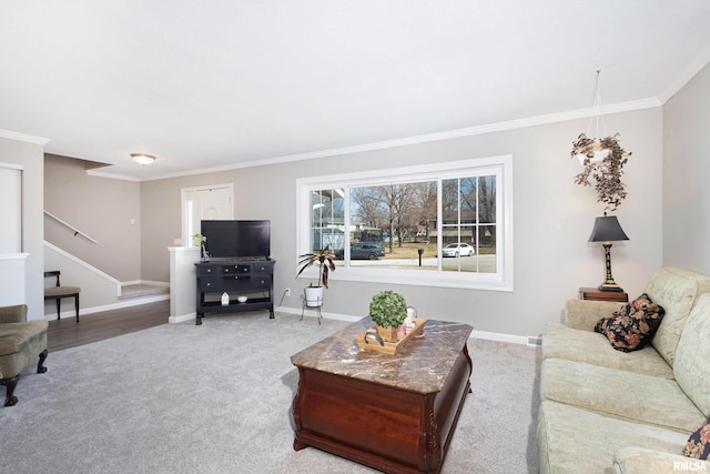 carpeted living room featuring crown molding, baseboards, and stairs