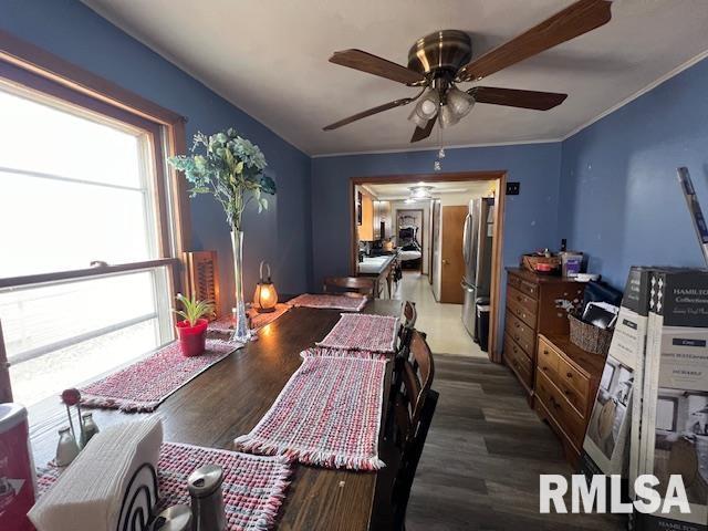 bedroom featuring ceiling fan, multiple windows, wood finished floors, and freestanding refrigerator