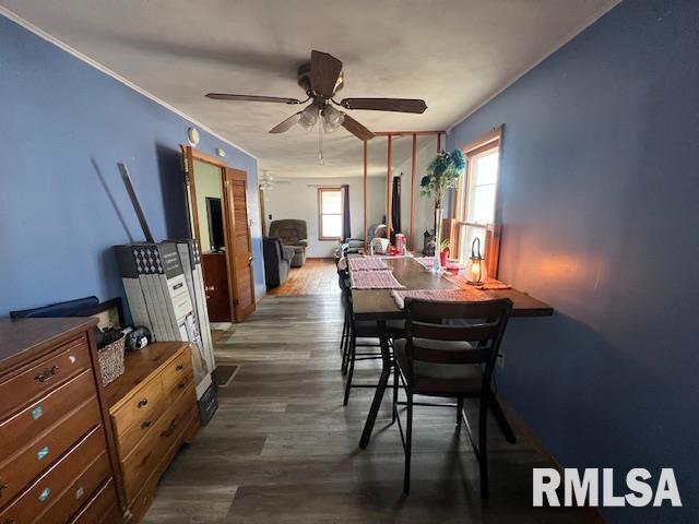 dining space with dark wood-style floors, ceiling fan, and crown molding