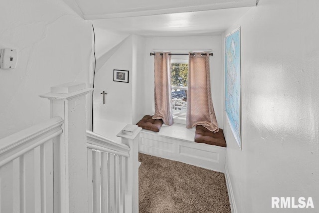 interior details featuring carpet floors