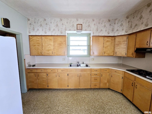 kitchen with wallpapered walls, freestanding refrigerator, black stovetop, under cabinet range hood, and a sink