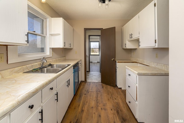 1595 Casper Church Rd, Cobden, IL 62920 - kitchen with a sink, stainless steel dishwasher, dark wood finished floors, white cabinetry, and light countertops