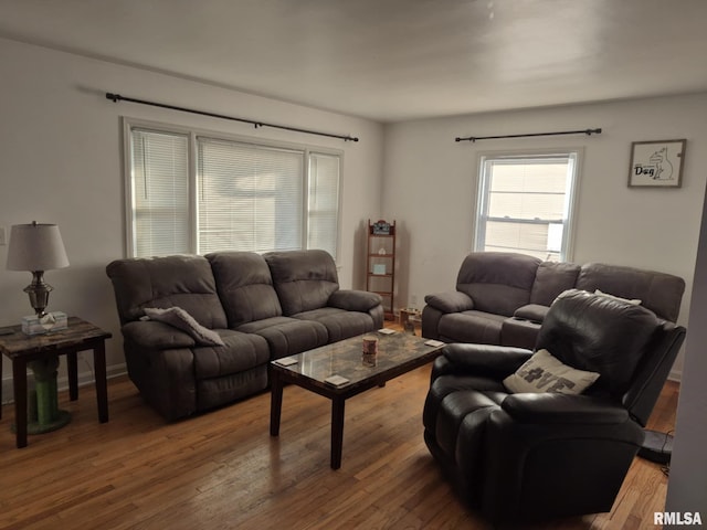 living area featuring wood finished floors