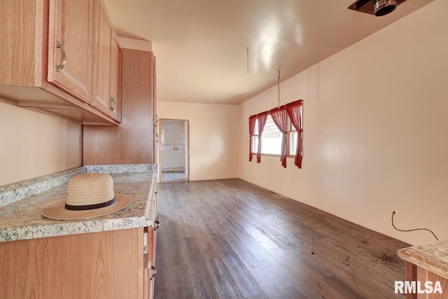 interior space featuring light countertops, light brown cabinetry, and wood finished floors