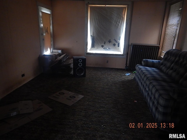 interior space featuring carpet floors and radiator