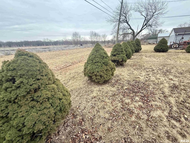 view of yard featuring a rural view