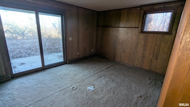 empty room featuring carpet floors and wood walls