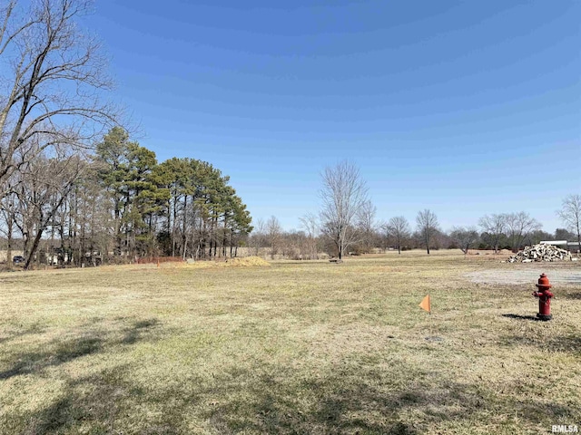 view of yard featuring a rural view