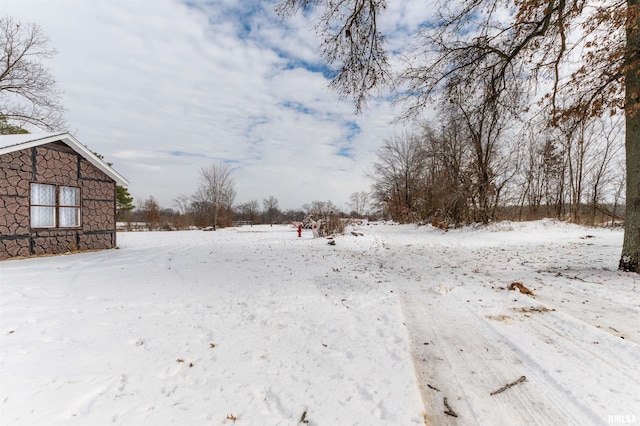 view of yard covered in snow