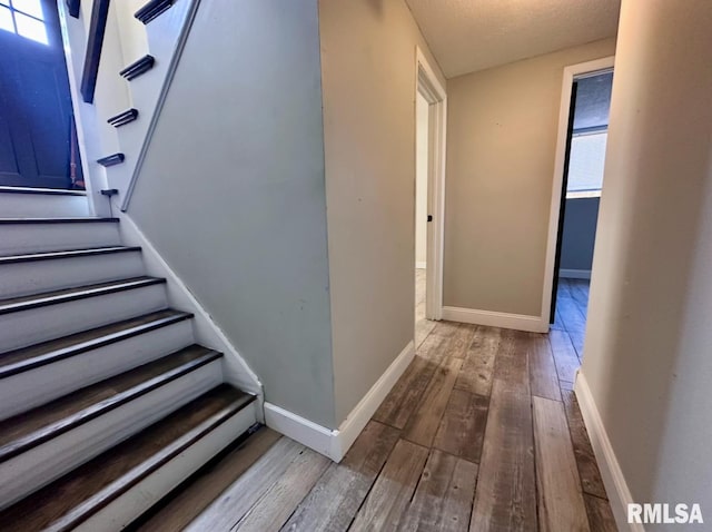 506 Timothy Ln, Carterville, IL 62918 - stairway with hardwood / wood-style flooring and baseboards