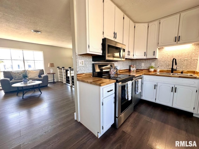 506 Timothy Ln, Carterville, IL 62918 - kitchen featuring appliances with stainless steel finishes, a sink, butcher block counters, a textured ceiling, and dark wood-style flooring
