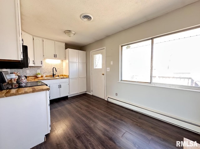 506 Timothy Ln, Carterville, IL 62918 - kitchen featuring wooden counters, a baseboard heating unit, black microwave, a sink, and white cabinetry