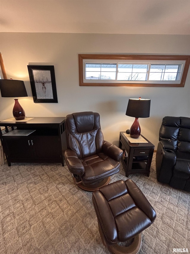 living area featuring carpet floors