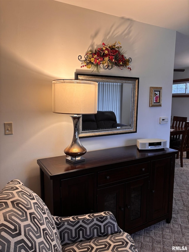 interior details with carpet floors