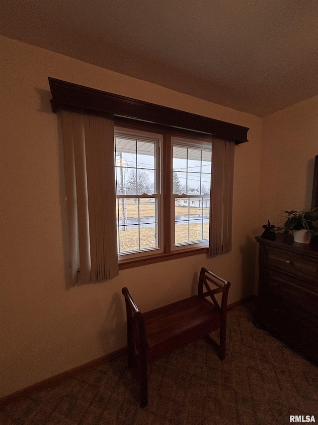 bedroom featuring carpet flooring